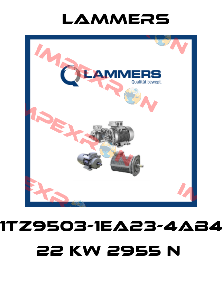 1TZ9503-1EA23-4AB4 22 kW 2955 n  Lammers