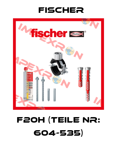 F20H (Teile Nr: 604-535) Fischer