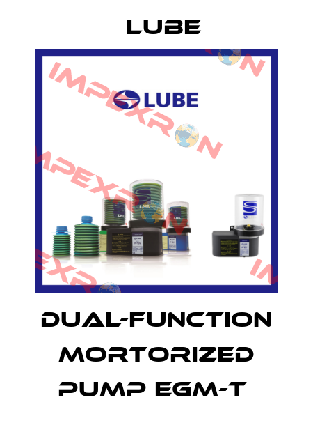 Dual-function mortorized pump EGM-T  Lube
