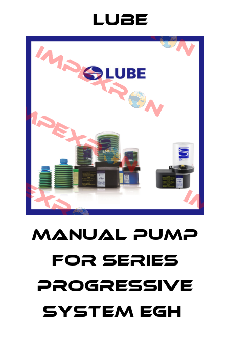 Manual Pump for Series Progressive System EGH  Lube