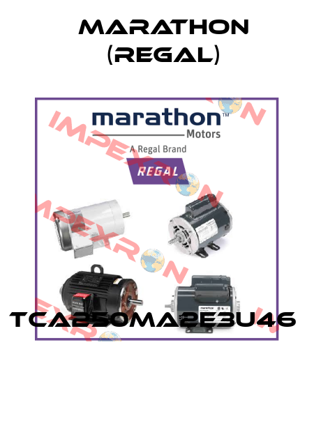 TCA250MA2E3U46   Marathon (Regal)
