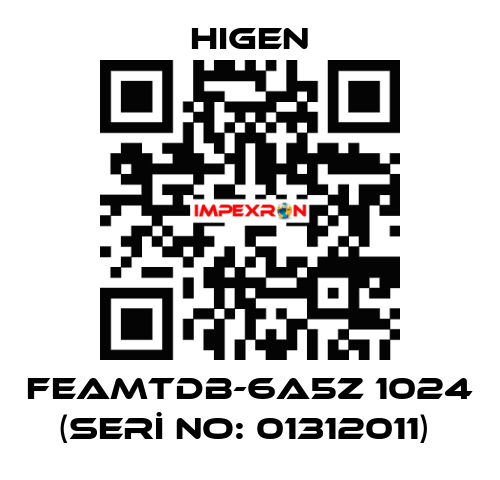 FEAMTDB-6A5Z 1024 (SERİ NO: 01312011)  Higen