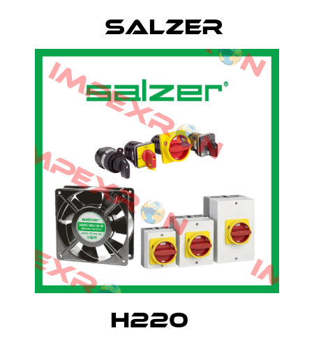 H220   Salzer