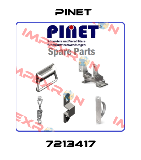 7213417 Pinet