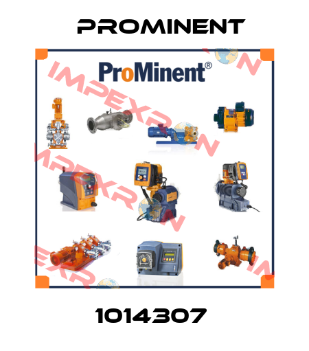 1014307  ProMinent