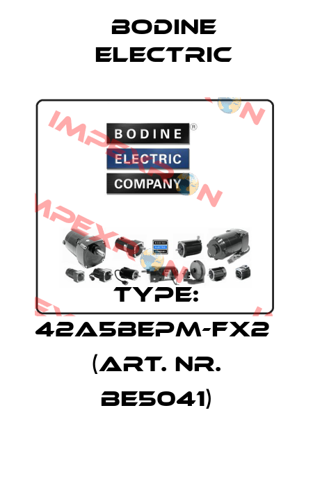 Type: 42A5BEPM-FX2  (Art. Nr. BE5041) BODINE ELECTRIC