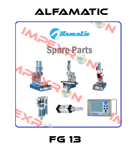 FG 13   Alfamatic