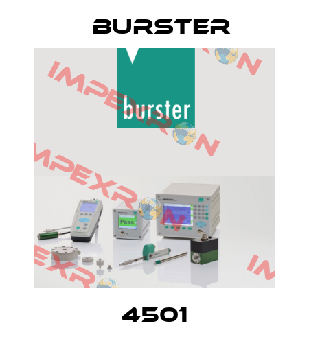 4501 Burster
