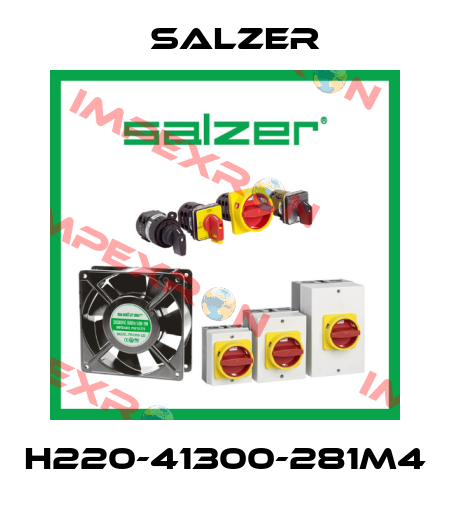 H220-41300-281M4 Salzer