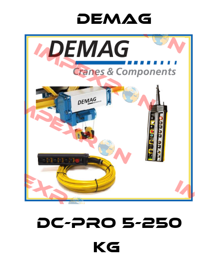 DC-Pro 5-250 kg  Demag