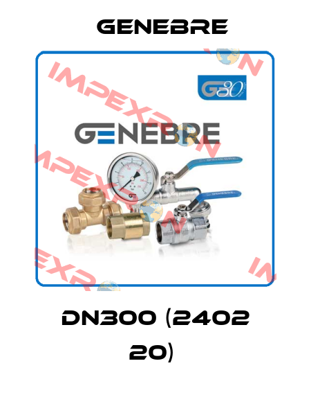 DN300 (2402 20)  Genebre