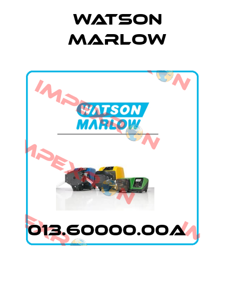 013.60000.00A   Watson Marlow