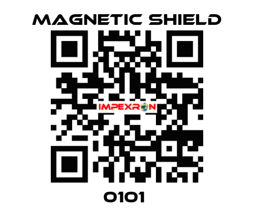0101  Magnetic Shield