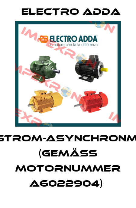 Drehstrom-Asynchronmotor (gemäß Motornummer A6022904)  Electro Adda