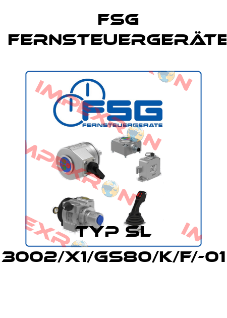 Typ SL 3002/X1/GS80/K/F/-01   FSG Fernsteuergeräte