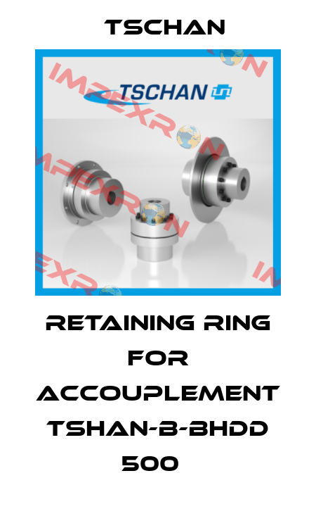 retaining ring for accouplement TSHAN-B-BHDD 500   Tschan