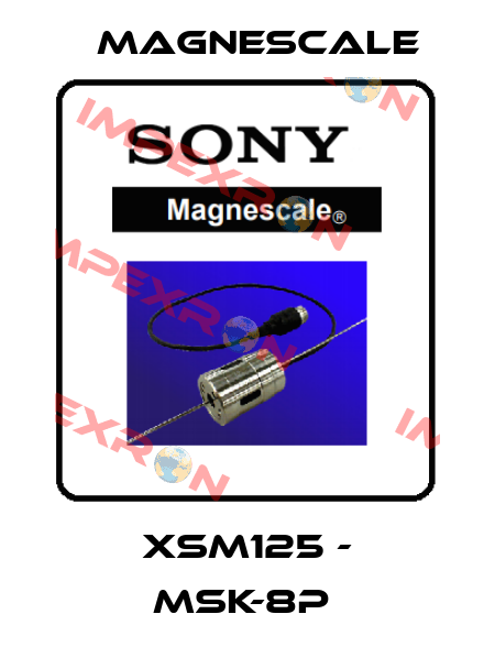 XSM125 - MSK-8P  Magnescale