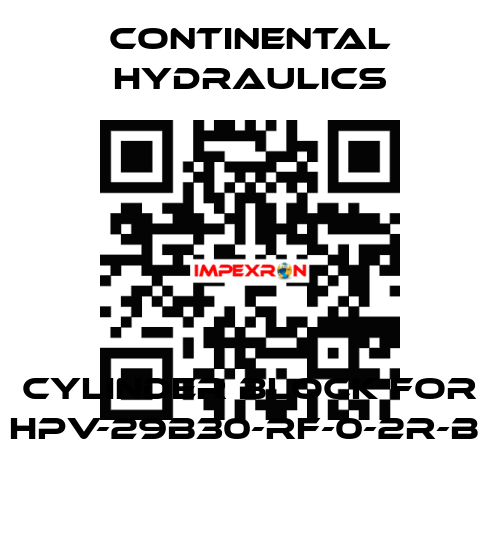 cylinder block for HPV-29B30-RF-0-2R-B  Continental Hydraulics