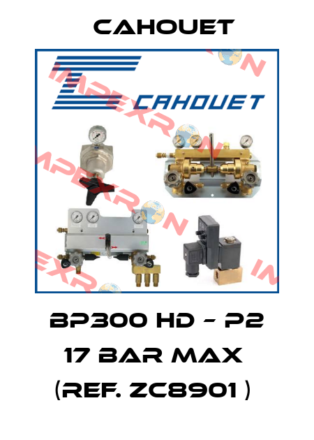  BP300 HD – P2 17 bar max  (ref. ZC8901 )  Cahouet