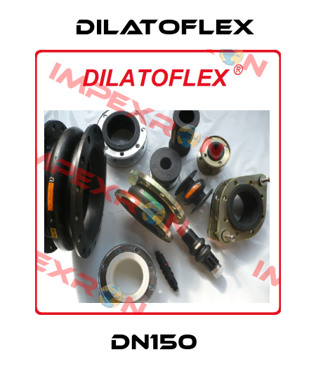 DN150  DILATOFLEX