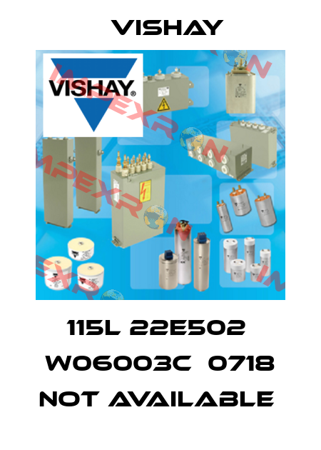 115L 22E502  W06003C  0718 not available  Vishay
