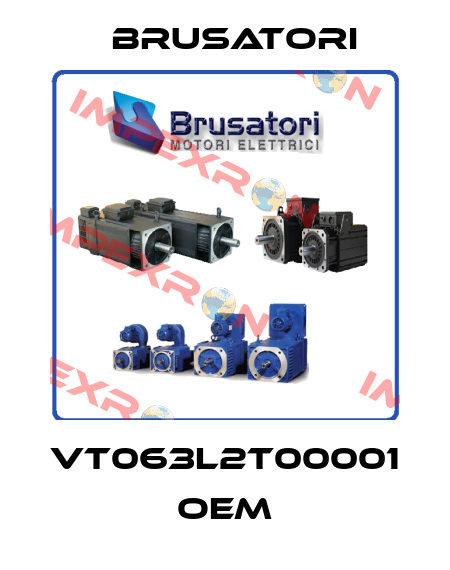 VT063L2T00001 OEM Brusatori
