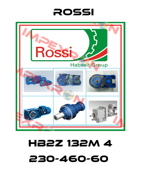 HB2Z 132M 4 230-460-60  Rossi