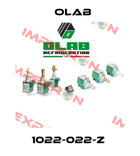 1022-022-Z  Olab