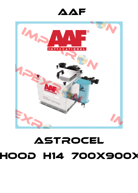 ASTROCEL TM-HOOD	H14	700X900X125  AAF