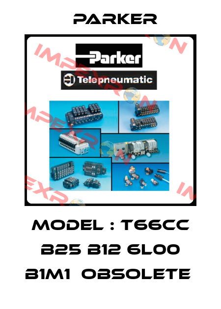 Model : T66CC B25 B12 6L00 B1M1  OBSOLETE  Parker