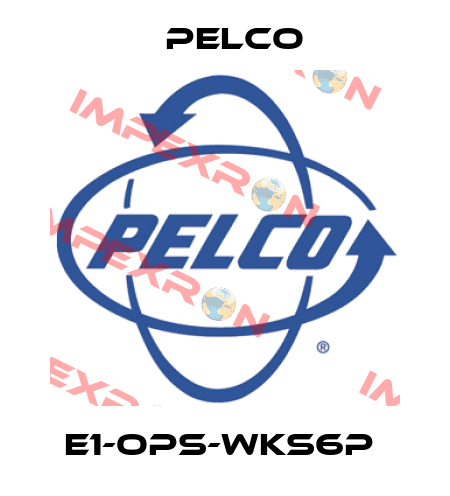 E1-OPS-WKS6P  Pelco