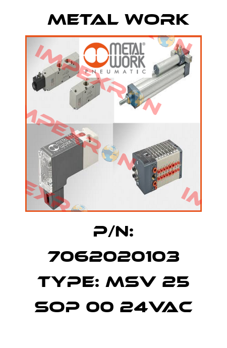 P/N: 7062020103 Type: MSV 25 SOP 00 24VAC Metal Work