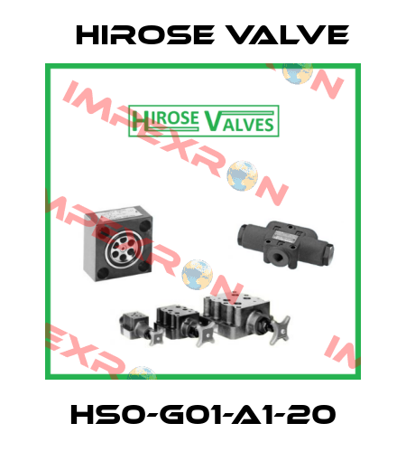 HS0-G01-A1-20 Hirose Valve