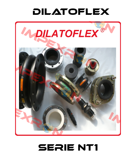 Serie NT1 DILATOFLEX