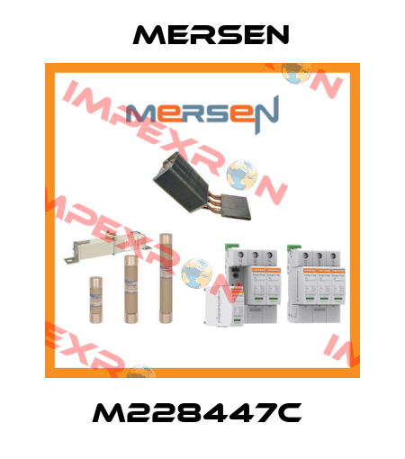 M228447C  Mersen