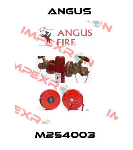M254003  Angus