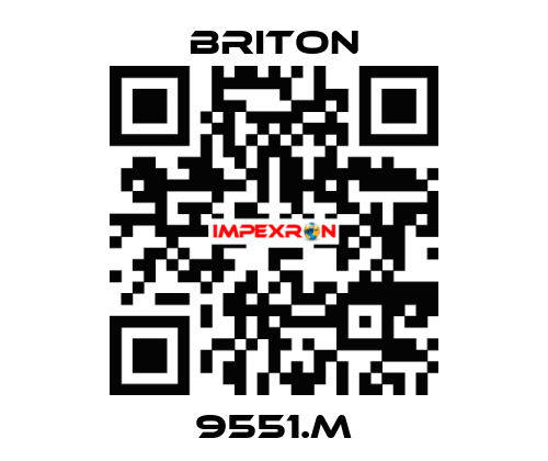 9551.M BRITON