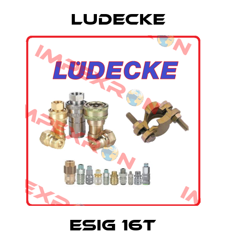 ESIG 16T Ludecke