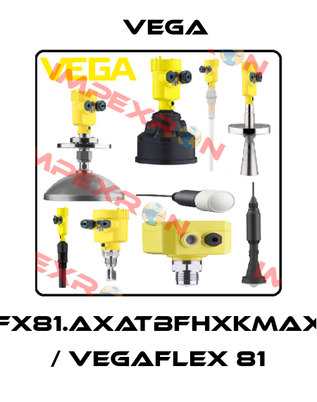 FX81.AXATBFHXKMAX / VEGAFLEX 81 Vega
