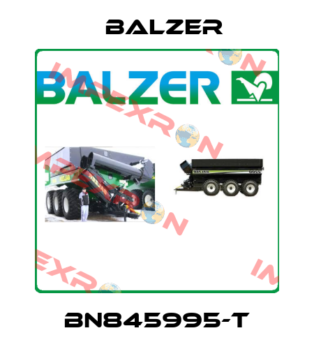 BN845995-T Balzer