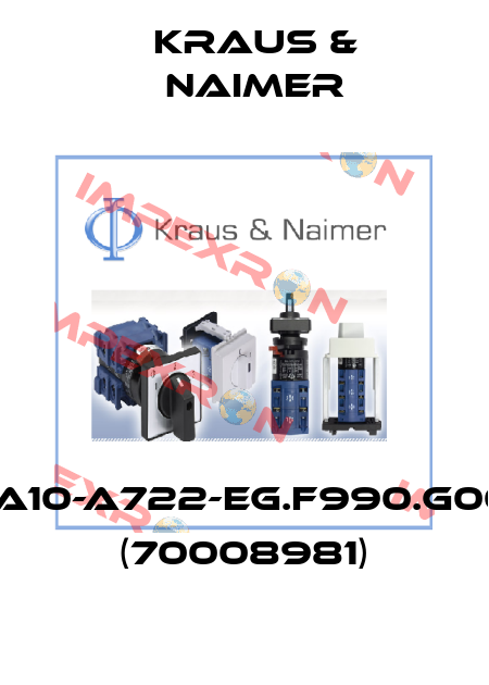 CA10-A722-EG.F990.G001 (70008981) Kraus & Naimer