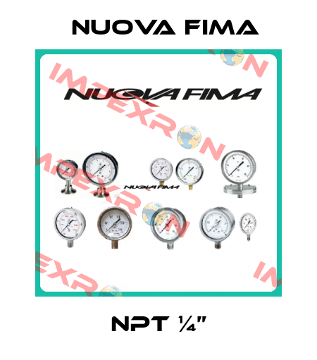 NPT ¼” Nuova Fima
