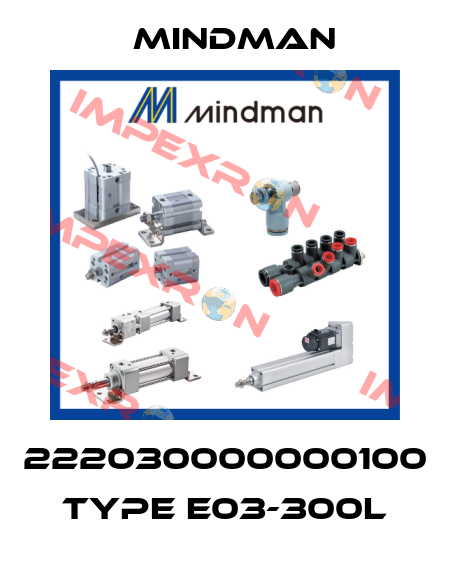 222030000000100 Type E03-300L Mindman