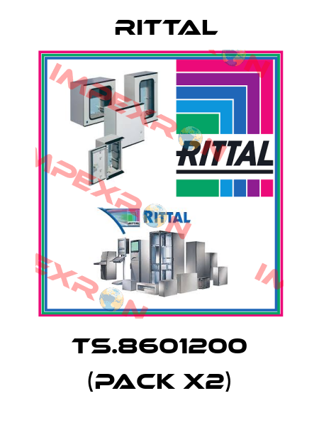 TS.8601200 (pack x2) Rittal