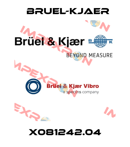 X081242.04 Bruel-Kjaer