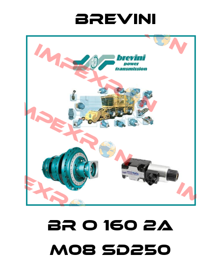 BR O 160 2A M08 SD250 Brevini