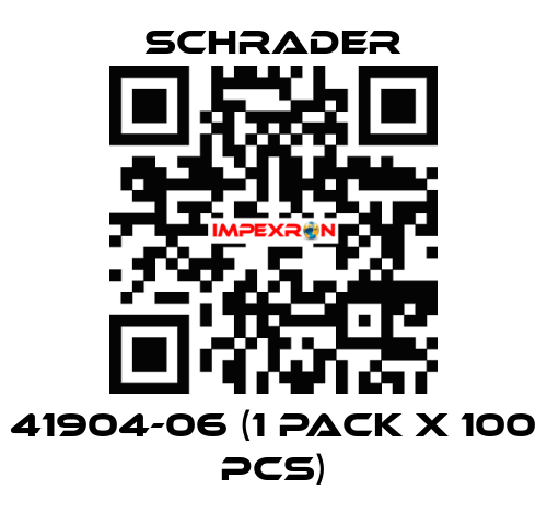 41904-06 (1 pack x 100 pcs) Schrader