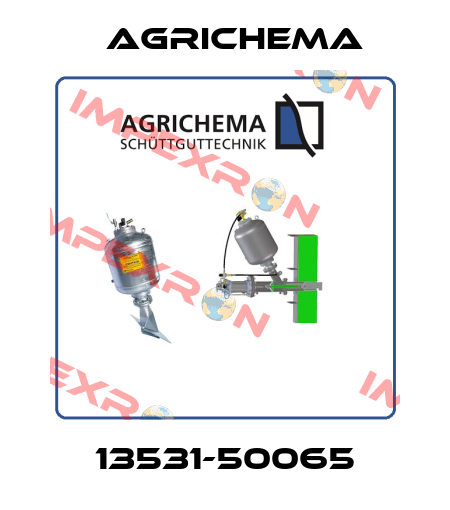 13531-50065 Agrichema