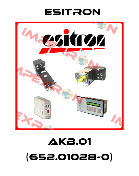 AKB.01 (652.01028-0) Esitron