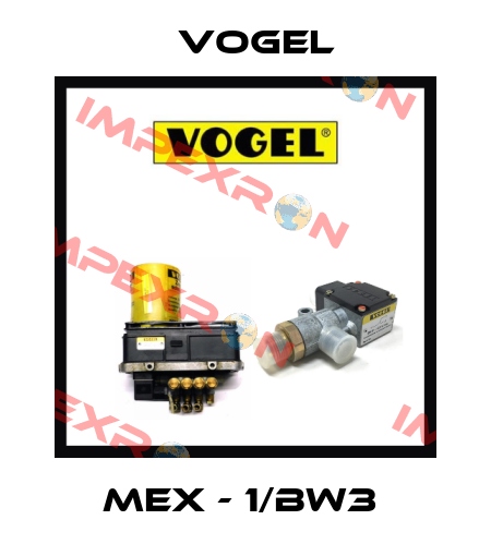 MEX - 1/BW3  Vogel